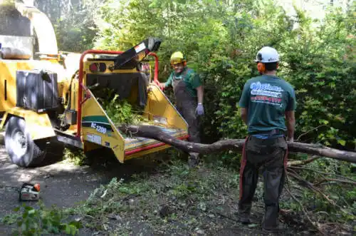 tree services Lovington